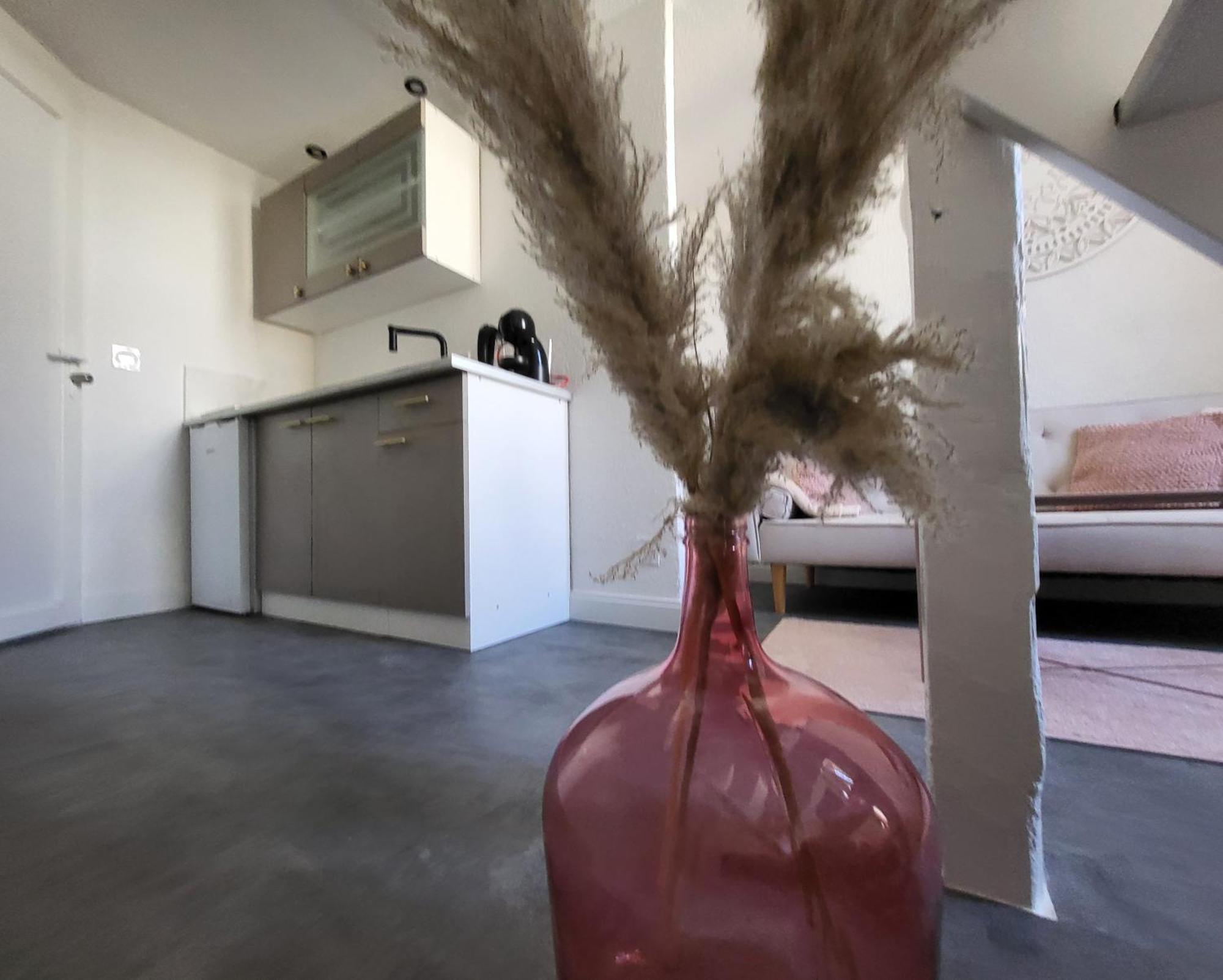 Agence Du Sacre Coeur Immobilier Διαμέρισμα Περπινιάν Δωμάτιο φωτογραφία